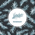 Round label decorated by rosemary sprig drawn with contour lines. Circular tag with aromatic spicy culinary herb or