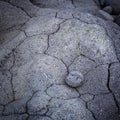 A round lava stone perfectly fitted into a small cavity in vulcanic rock, Hvaleyri beach, Iceland