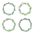 Round leaf borders. Circle green leaves wreath, floral frames, decorative circle invitation. Floral decorations isolated Royalty Free Stock Photo