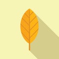 Round leaf icon flat vector. Autumn fall Royalty Free Stock Photo
