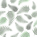 Tropical leaves seamless pattern with white background Royalty Free Stock Photo