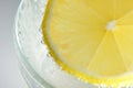 Round lemon slice in slaked soda water Royalty Free Stock Photo