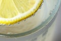 Round lemon slice in slaked soda water Royalty Free Stock Photo