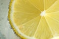 Round lemon slice in slaked soda water Royalty Free Stock Photo