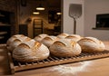 Round loaves of bread are displayed Royalty Free Stock Photo