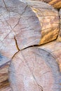 Round log end weathered building materials sauna traditional heat preservation cracked surface Royalty Free Stock Photo