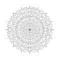 Round mandalas in vector. Graphic template for your design. Decorative retro ornament. Hand drawn background with flowers. Royalty Free Stock Photo