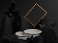 Round marble pedestal, Surrounded by tree, golden picture frames and Background is black stone. Pedestal Can be used for commercia