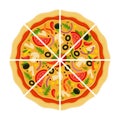 Mexican Pizza cut into pieces flat icon vector isolated