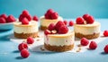 round mini cheesecakes with raspberries