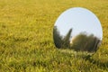 Round mirror on grass reflecting trees and sky. Space for text