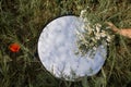 Round Mirror In The Grass - Trendy Image, Close To Nature. Chamomile in the mirror against the blue sky