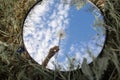 Round Mirror In The Grass - Trendy Image, Close To Nature. Dandelion in the mirror against the blue sky