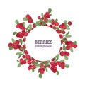 Round natural backdrop or wreath made of lingonberries hand drawn on white background. Decorative frame consisted of red