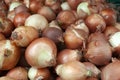 Round onions in the market Royalty Free Stock Photo