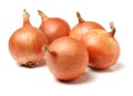 round onions Royalty Free Stock Photo