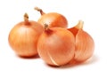 Round onions