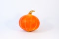 Round Orange cucurbit