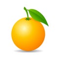 Round orange fruit vector icon