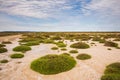 Round Patches of Grass in Saint Lucie Regional Natural Reserve Salines, Port-la-Nouvelle, France