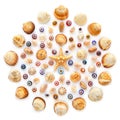 Round pattern of shells, starfish and glass beads on white background Royalty Free Stock Photo