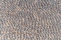 Round pebble stone path decorative floor texture Royalty Free Stock Photo