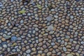 Round peeble stones Royalty Free Stock Photo