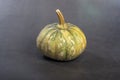 Round perfectly shaped green pumpkin