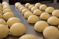 Round pieces of homemade white dough for pizza, bread or baked goods on a metal cutting board. Large dough balls are ready to bake Royalty Free Stock Photo