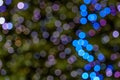 Round pink, purple, magenta and blue bokeh on green dark blur background. Royalty Free Stock Photo