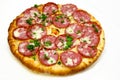 Round pizza with meat 8 Royalty Free Stock Photo