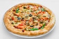 Round pizza on a white plate Royalty Free Stock Photo