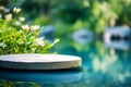 Round Platform on Serene Pond with Clear Blue Water