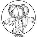 Round print with iris flower with leaves black lines on white background
