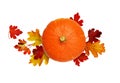 Round pumpkin with autumn leaves