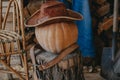 Round pumpkin lies on stump. Top leather hat