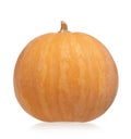 Round pumpkin