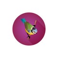 Round purple icon for website, bird on branch, tit, flat style,