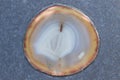 Round refined agate mineral inbeded on stone surface Royalty Free Stock Photo