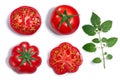 Round and ribbed Tomatoes, leaf, top view, paths Royalty Free Stock Photo