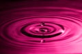 Perfect water drop splashing into smooth water causing ripples in a pink colour Royalty Free Stock Photo