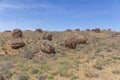 Round rocks in Ustyurt Plateau, Mangystau Region, the southwestern Kazakhstan. It used to be the bottom of the sea called Tethys Royalty Free Stock Photo