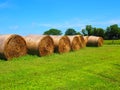 Round rolled hay bale Royalty Free Stock Photo