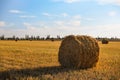 Round rolled hay bales in agricultural field on sunny day Royalty Free Stock Photo