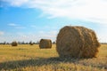 Round rolled hay bales in agricultural field on sunny day Royalty Free Stock Photo