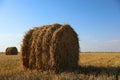 Round rolled hay bales in agricultural field on sunny day Royalty Free Stock Photo