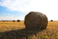 Round rolled hay bales in agricultural field on sunny day Royalty Free Stock Photo