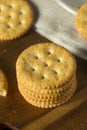 Round Salted Homemade Crackers Royalty Free Stock Photo