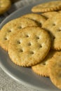 Round Salted Homemade Crackers