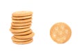 Round salty crackers Royalty Free Stock Photo